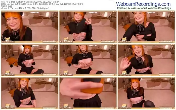 2023/03/01/mfc-ziafox-22-30-49