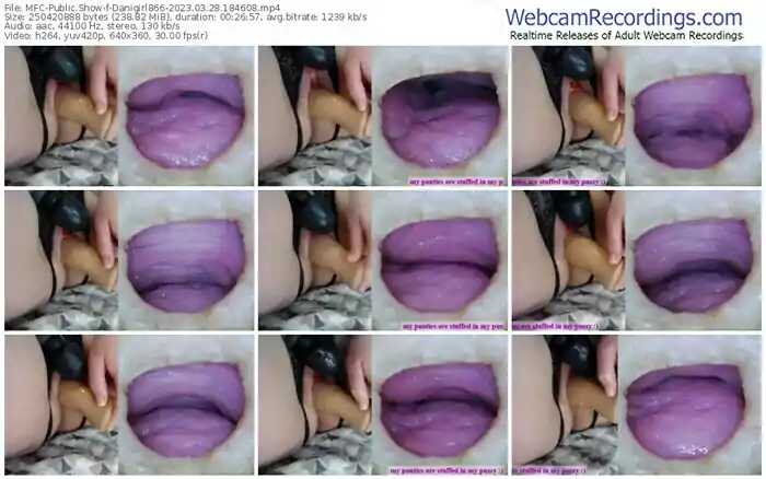 2023/03/28/mfc-danigirl866-18-46-08