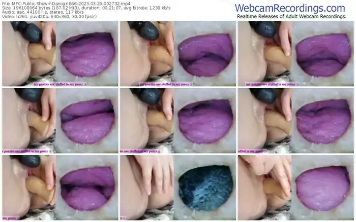 2023/03/29/mfc-danigirl866-00-27-32