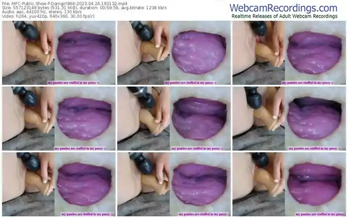 2023/04/24/mfc-danigirl866-18-31-32