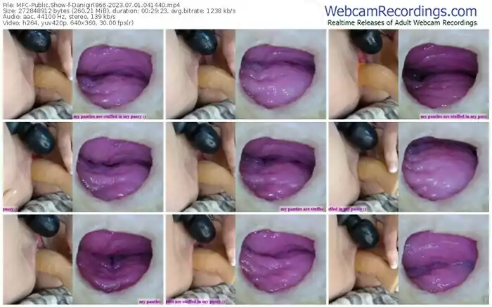 2023/07/01/mfc-danigirl866-04-14-40