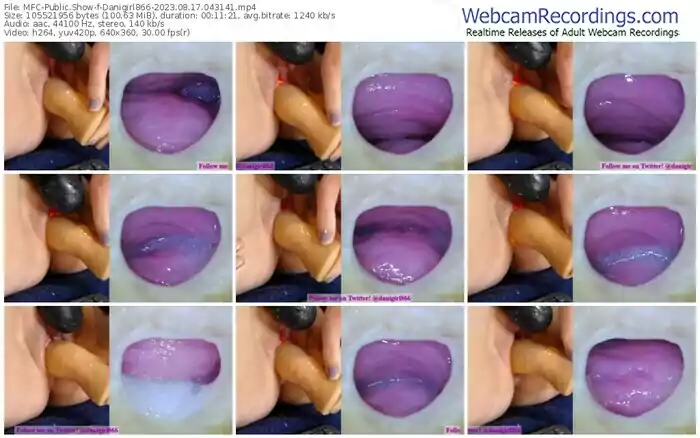 2023/08/17/mfc-danigirl866-04-31-41