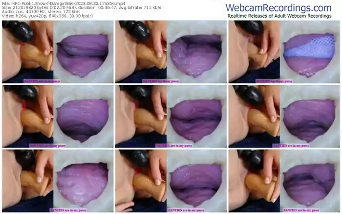 2023/08/30/mfc-danigirl866-17-58-56