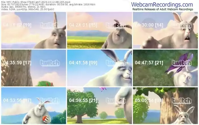 2023/10/12/mfc-testcamt-08-12-05