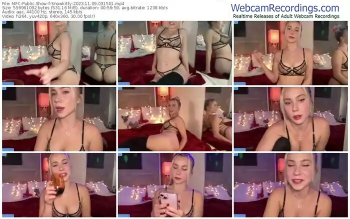 2023/11/09/mfc-snowkitty-03-15-01