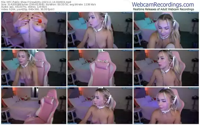 2023/11/14/mfc-snowkitty-03-49-19