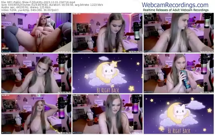 2023/12/01/mfc-zillykitty-23-47-16
