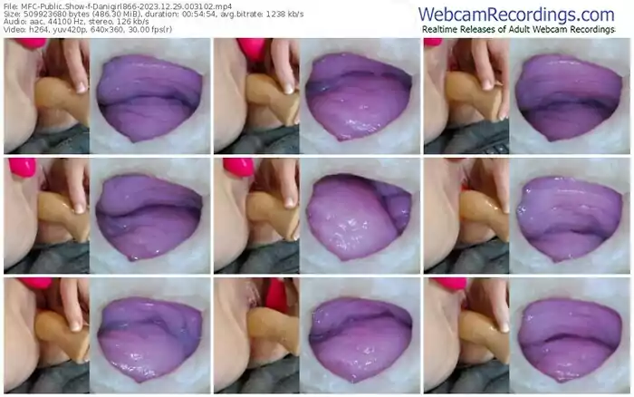 2023/12/29/mfc-danigirl866-00-31-02