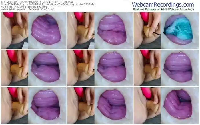 2024/01/03/mfc-danigirl866-19-18-04