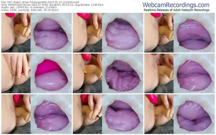 2024/01/15/mfc-danigirl866-21-26-03