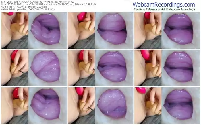 2024/01/16/mfc-danigirl866-20-59-23