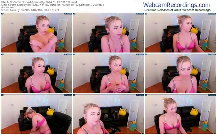 2024/01/23/mfc-snowkitty-03-16-59