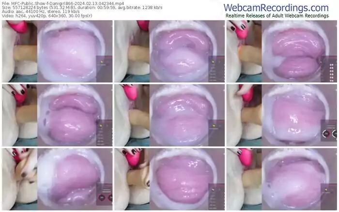 2024/02/13/mfc-danigirl866-04-23-44