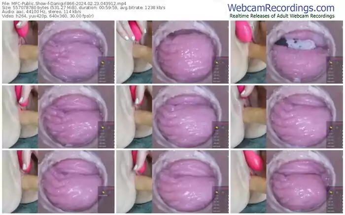 2024/02/23/mfc-danigirl866-04-39-12