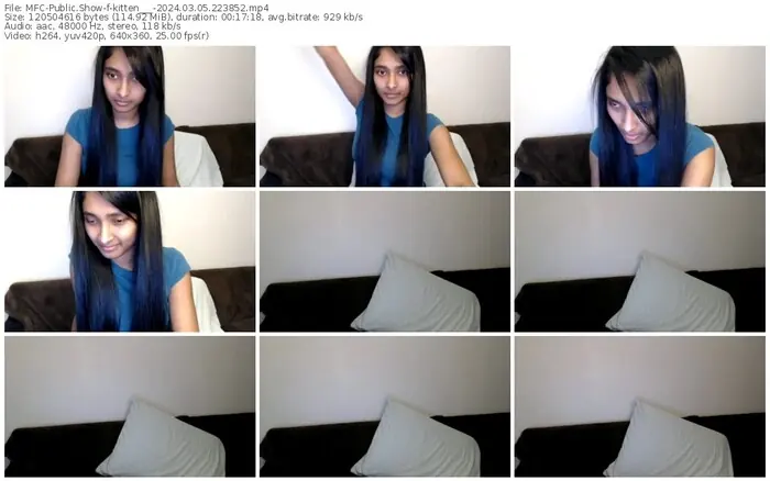 2024/03/05/mfc-kitten___-22-38-52