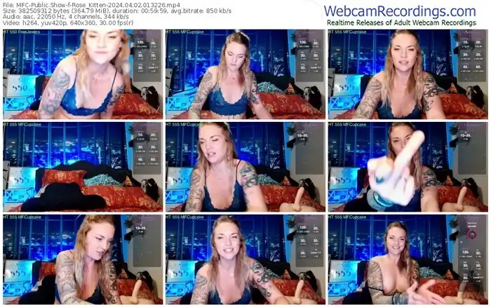 2024/04/02/mfc-rose_kitten-01-32-26