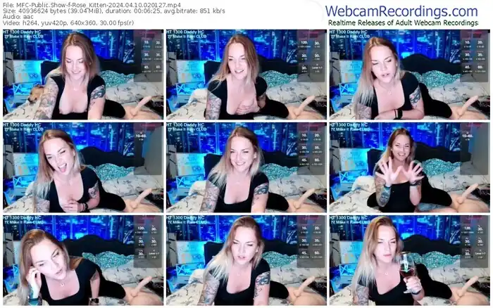 2024/04/10/mfc-rose_kitten-02-01-27