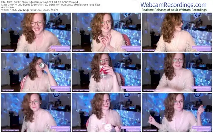 2024/04/13/mfc-justgemma-00-06-26