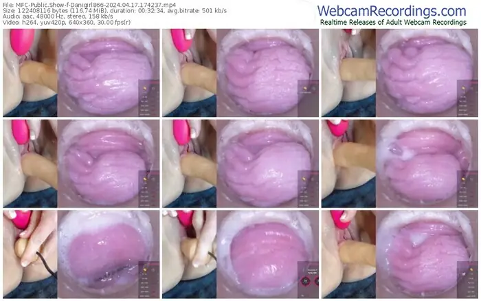 2024/04/17/mfc-danigirl866-17-42-37