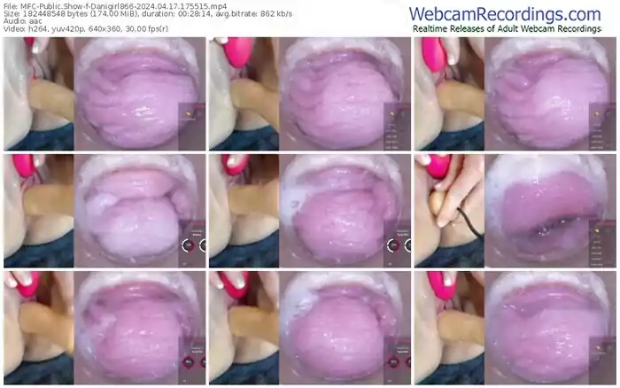 2024/04/17/mfc-danigirl866-17-55-15