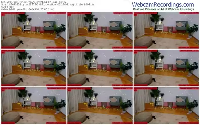 2024/04/17/mfc-skyv_-17-44-10