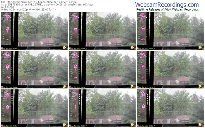 2024/04/17/mfc-m1ss_ariana-08-46-11