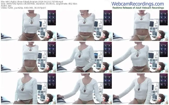 2024/04/19/mfc-badlibrarian-17-07-48