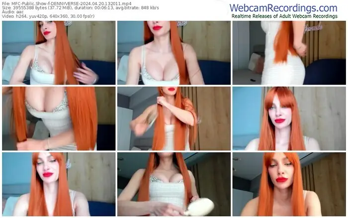 2024/04/20/mfc-dennyverse-13-20-11