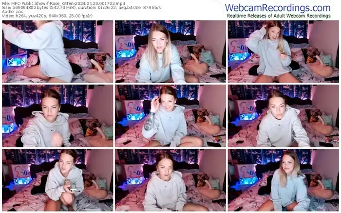 2024/04/20/mfc-rose_kitten-00-17-02