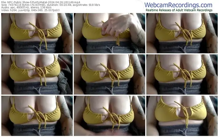 2024/04/26/mfc-purrtymetal-18-11-49