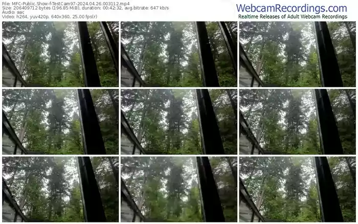 2024/04/26/mfc-testcam97-00-31-12