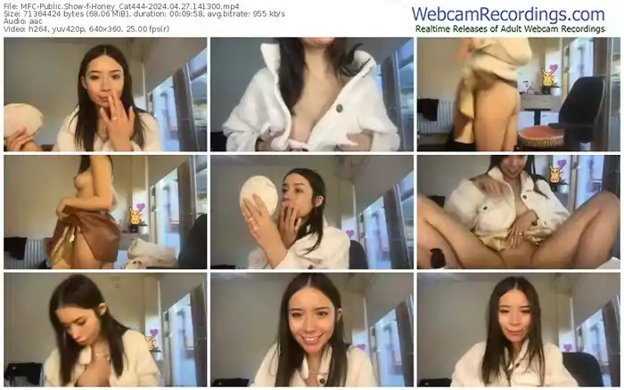 2024/04/27/mfc-honey_cat444-14-13-00