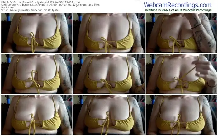 2024/04/30/mfc-purrtymetal-17-16-02