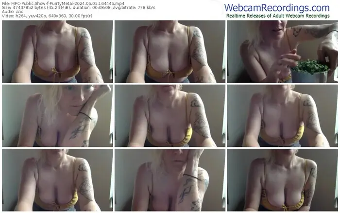 2024/05/01/mfc-purrtymetal-16-44-45