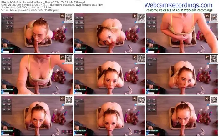 2024/05/09/mfc-redhead_shark-14-45-39