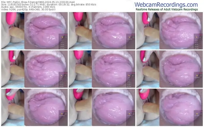 2024/05/13/mfc-danigirl866-23-31-00