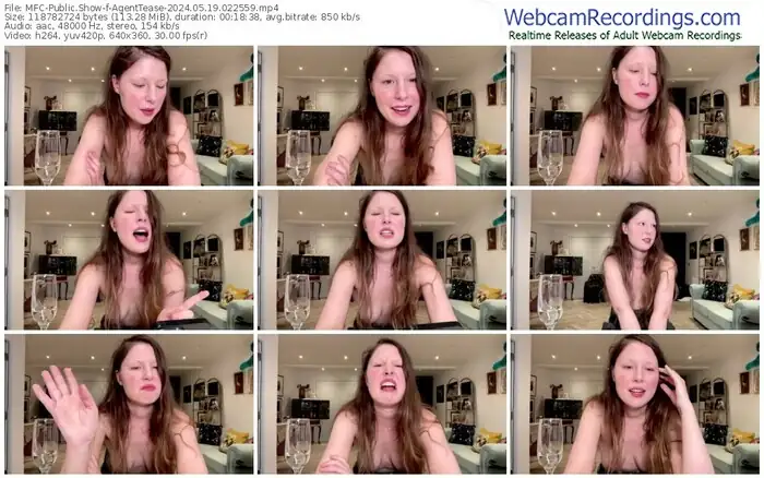 2024/05/19/mfc-agenttease-02-25-59