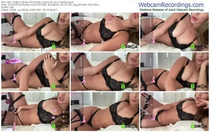 2024/05/20/mfc-prinnybx-11-44-36