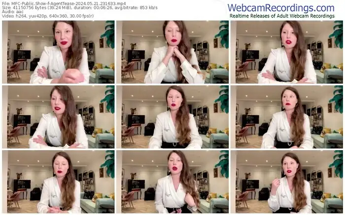 2024/05/21/mfc-agenttease-23-16-33