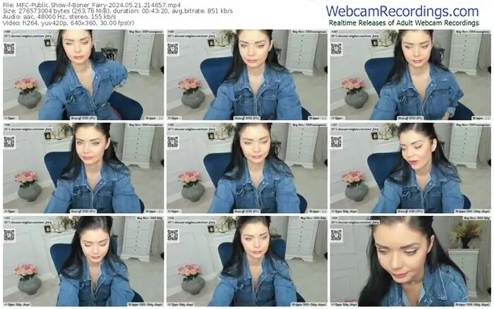 2024/05/21/mfc-boner_fairy-21-46-57