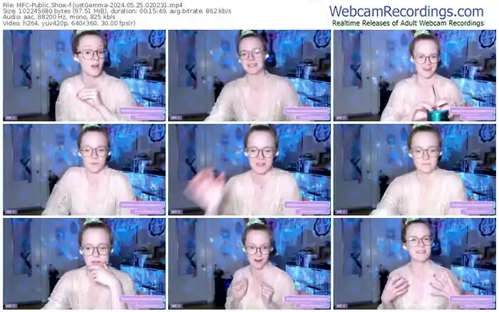 2024/05/25/mfc-justgemma-02-02-31