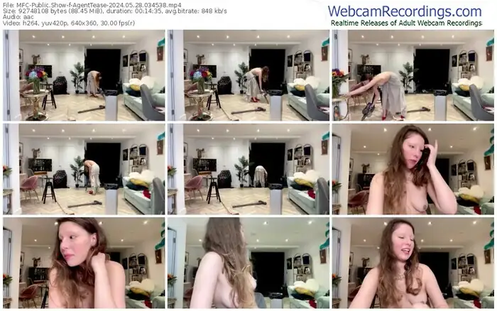 2024/05/28/mfc-agenttease-03-45-38