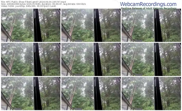 2024/06/04/mfc-testcam97-19-57-47