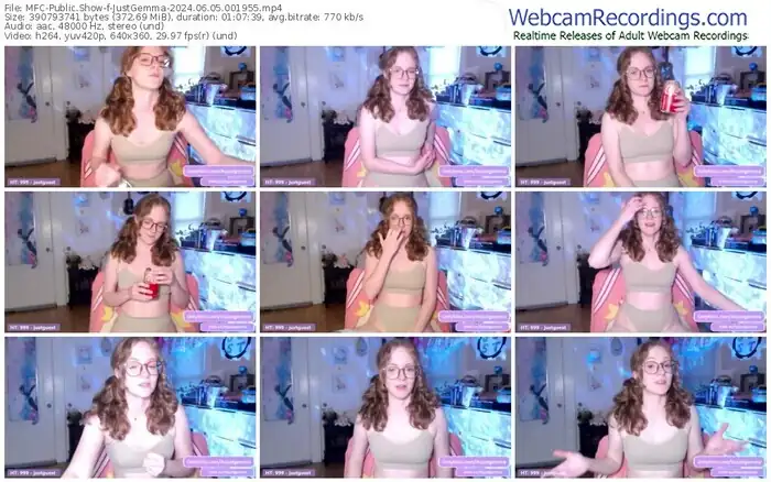 2024/06/05/mfc-justgemma-00-19-55