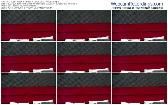 2024/06/07/mfc-minion_a-08-01-38