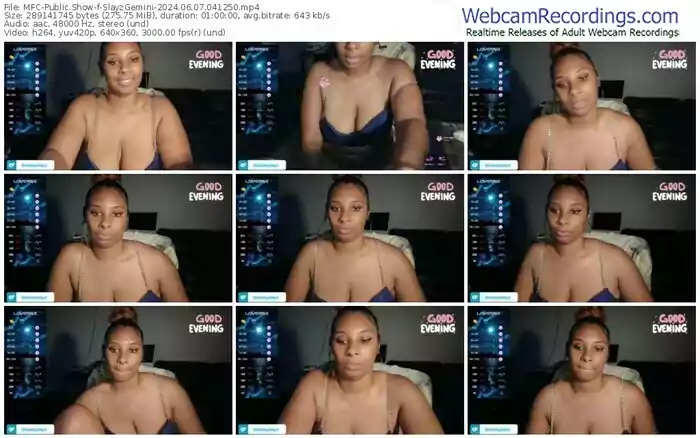 2024/06/07/mfc-slayzgemini-04-12-50