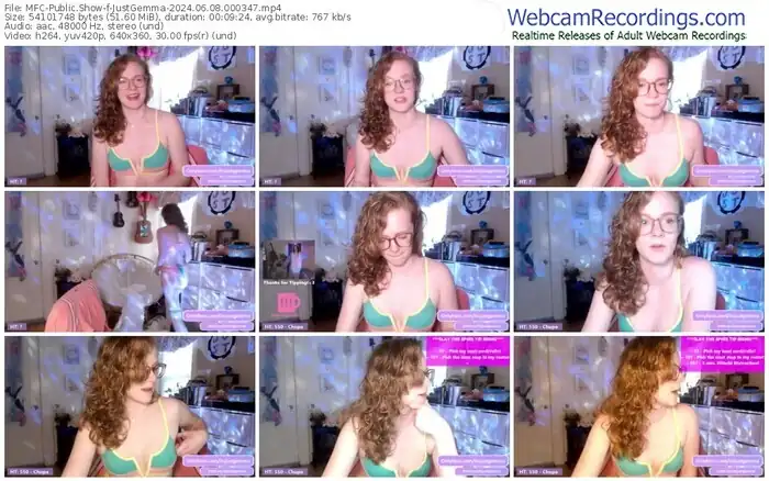 2024/06/08/mfc-justgemma-00-03-47