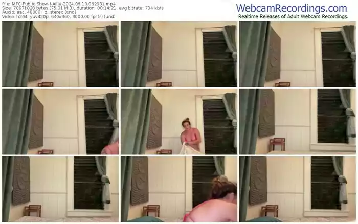 2024/06/10/mfc-ailia-06-29-31