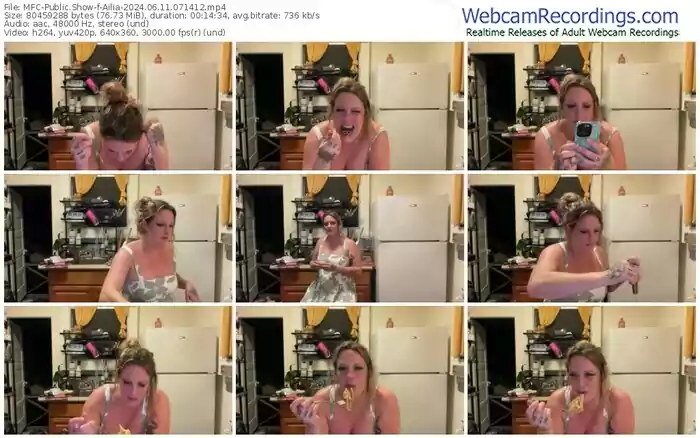 2024/06/11/mfc-ailia-07-14-12