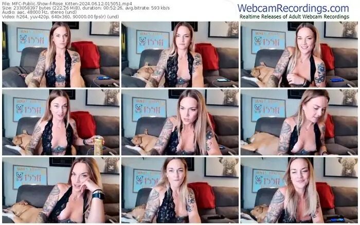 2024/06/12/mfc-rose_kitten-01-50-51